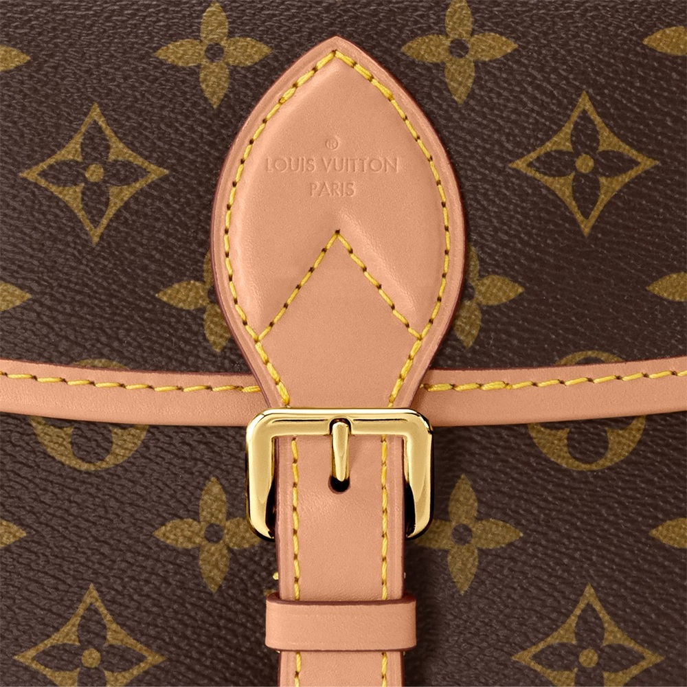 Louis Vuitton LV Monogram Crossbody Shoulder Bag Diane In Excellent Condition - Picture 12 of 16